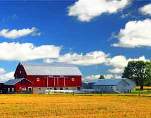 Local and Regional Farm and Food Bill Introduced in Congress